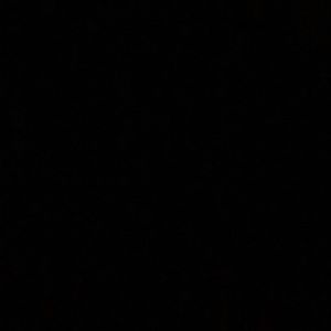 Meet your Posher, Cody